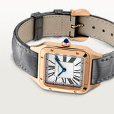 Cartier Santos-Dumont Watch 38.0mm WGSA0117 White Dial Leather 3