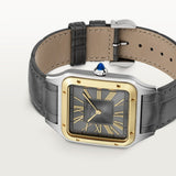 Cartier Santos-Dumont Watch 43.5mm W2SA0036 Grey Dial Leather 3