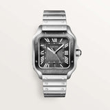 Cartier Santos De 39.8 mm WSSA0037 Gray Dial Steel Unworn/ Complete/2024