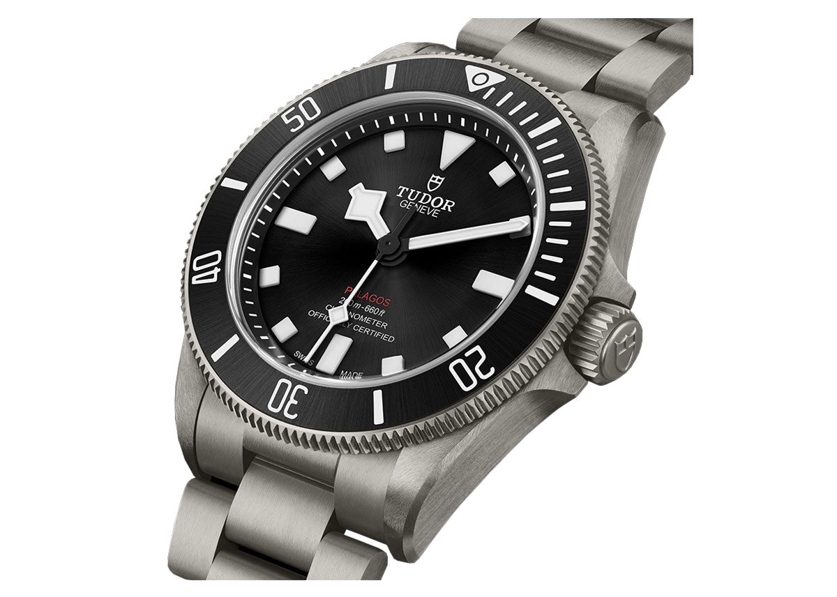TUDOR Men s Pelagos 39 Titanium Watch