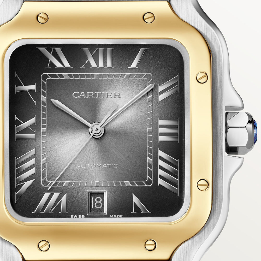 Cartier Santos De 39.8 mm W2SA0030 Anthracite Gray Dial Steel Unworn/ Complete/2024 6