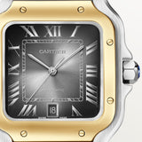 Cartier Santos De 39.8 mm W2SA0030 Anthracite Gray Dial Steel Unworn/ Complete/2024 6