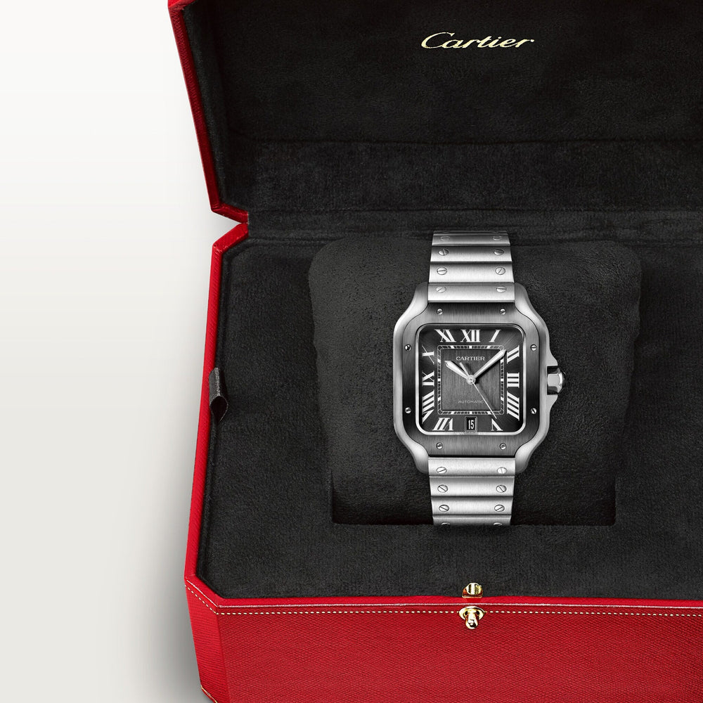 Cartier Santos De 39.8 mm WSSA0037 Gray Dial Steel Unworn/ Complete/2024  8