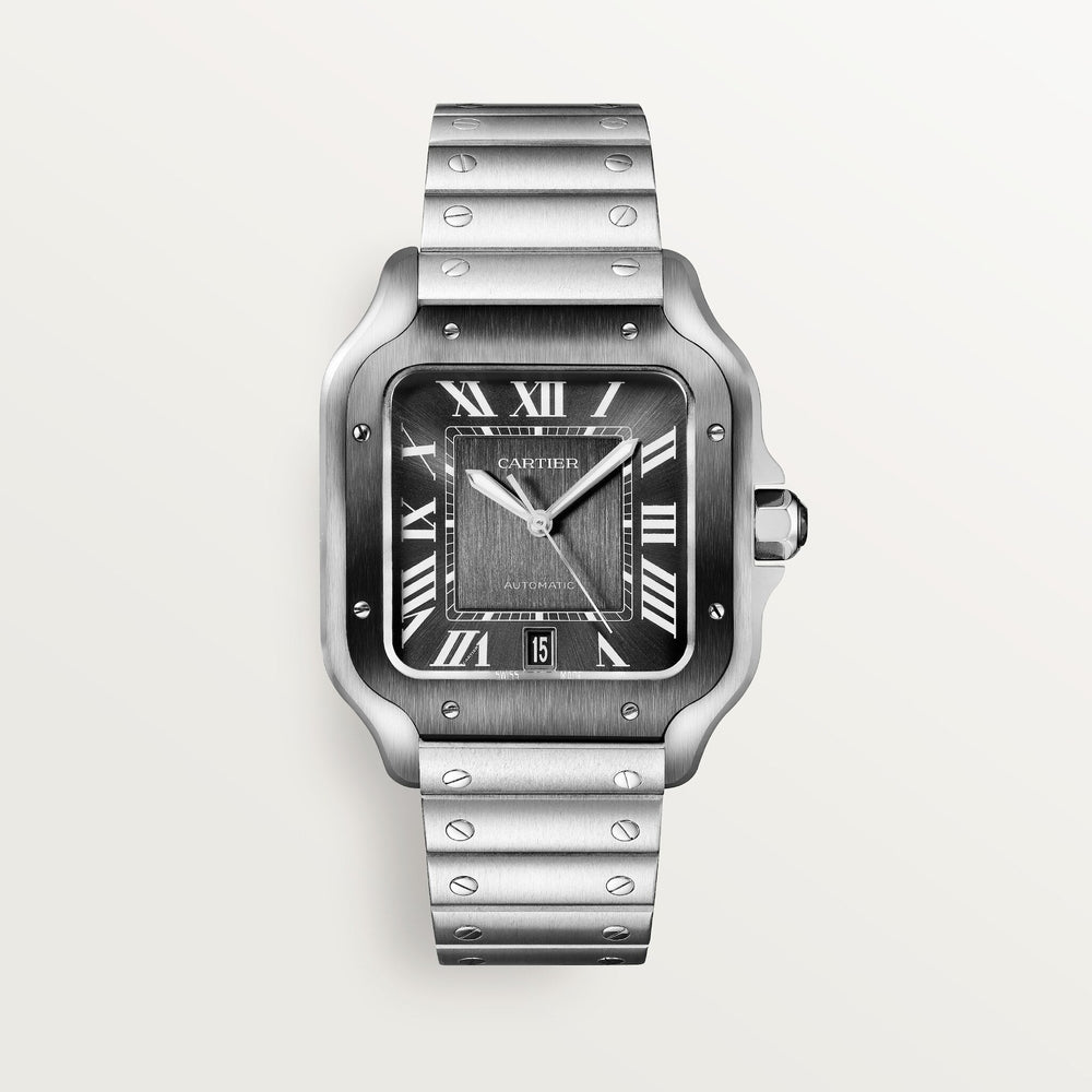 Cartier Santos De 39.8 mm WSSA0037 Gray Dial Steel Unworn/ Complete/2024 