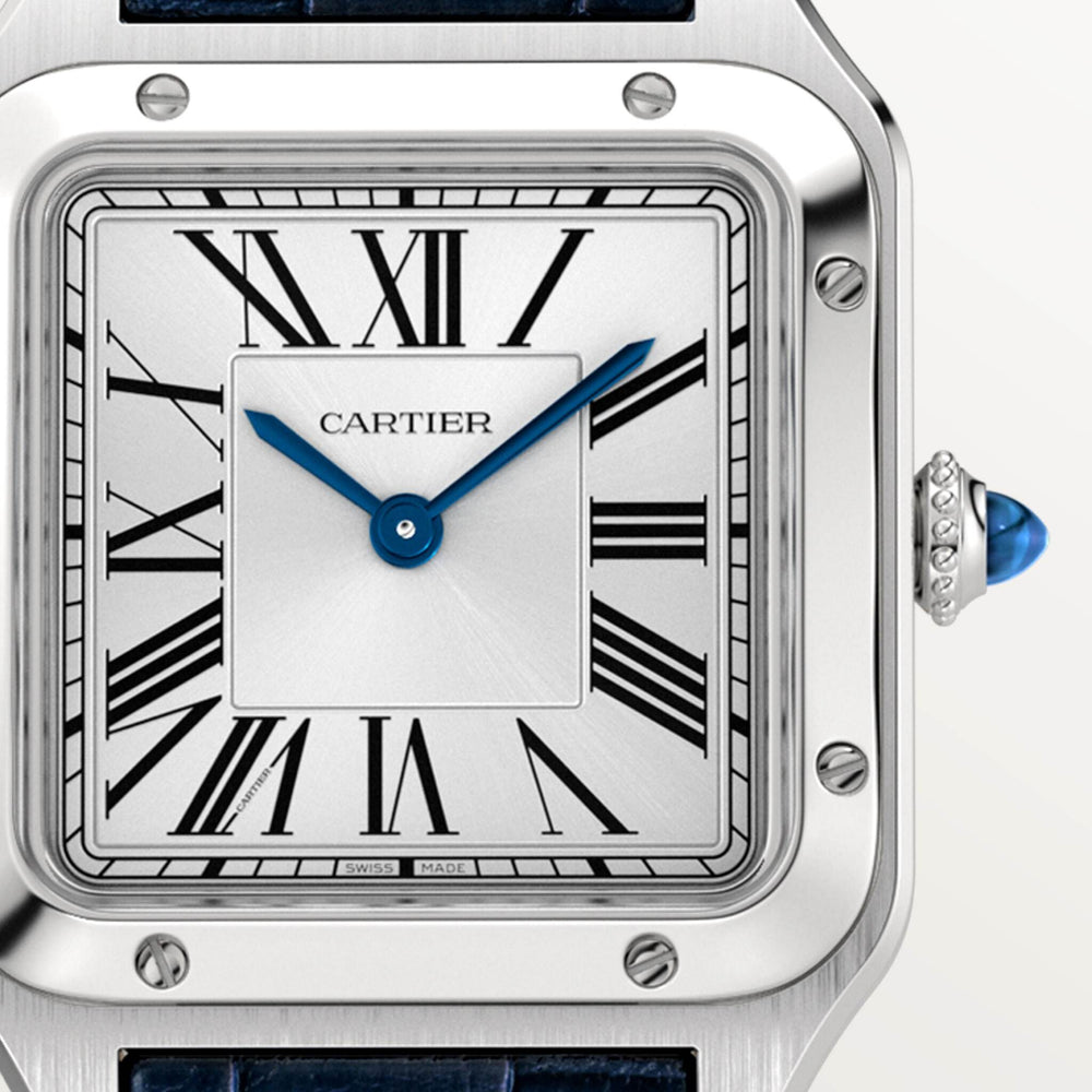 Cartier Santos-Dumont 38 mm WSSA0023 Satin-Brushed Silver D Leather Unworn/ Complete/2024  10