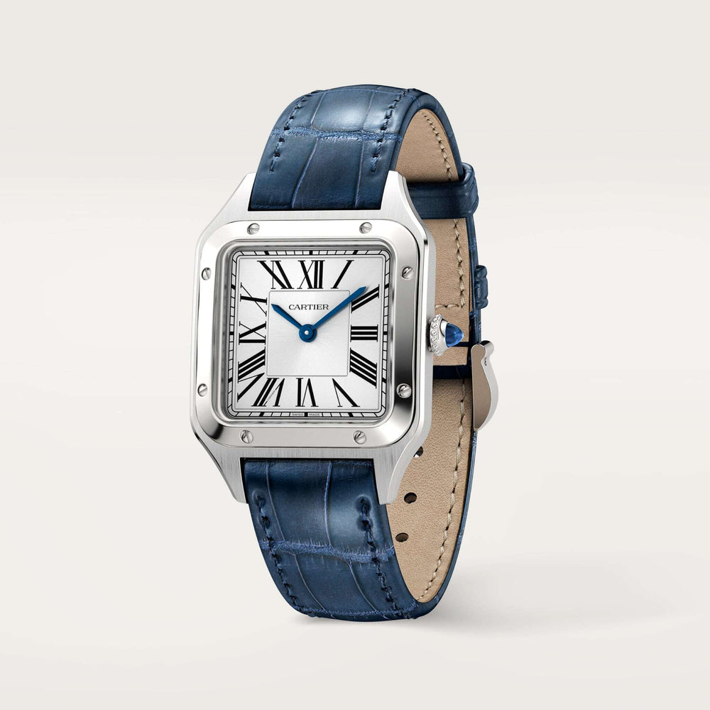 Cartier Santos-Dumont 38 mm WSSA0023 Satin-Brushed Silver D Leather Unworn/ Complete/2024  3
