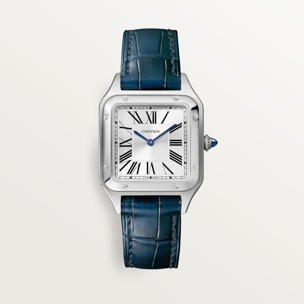Cartier Santos-Dumont 38 mm WSSA0023 Satin-Brushed Silver D Leather Unworn/ Complete/2024 