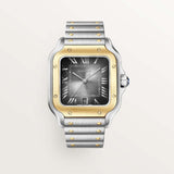 Cartier Santos De 39.8 mm W2SA0030 Anthracite Gray Dial Steel Unworn/ Complete/2024