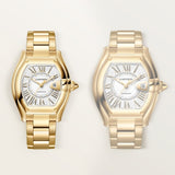Roadster Watch 42.5 mm WGRD0011 White Dial Yellow Gold Additional Image - 8