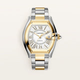 Roadster Watch 47.2 mm W2RD0010 White Dial Gold and Steel