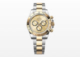 Rolex Cosmograph Daytona 40mm 126503 Oystersteel Golden Dial New/Complete 2022+
